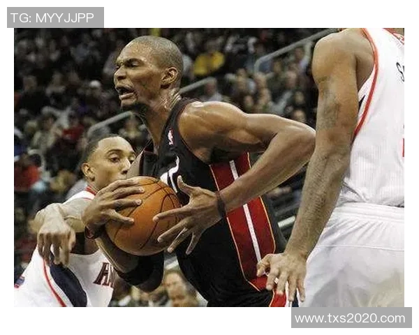 热火签下霍林斯，替补阵容再添强力